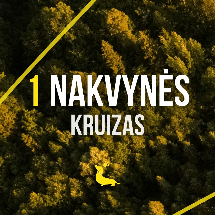 Vienos nalvynės kruizas - Nemo